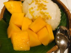 -GOGO Plate(成都太古里店)