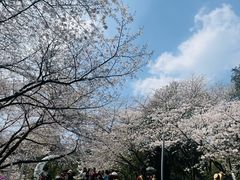 -杭州少年儿童公园