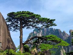 -黄山风景区