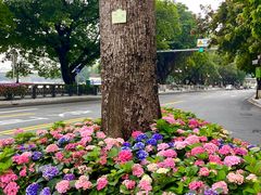 -东山湖公园