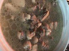 羊肉煲-老东风菜馆·潮汕大排档