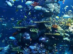 -华夏文旅西安度假区