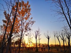 -北京国家会计学院