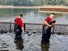 -解家河南菜(商鼎路店)