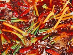 -一斗火锅·招财羊毛肚(北温泉九号店)