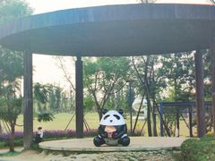 -桂溪生态公园