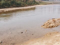 -灞河西岸滨河公园