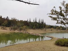 -苏州清山会议中心