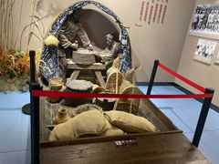 -泗洪洪泽湖湿地景区