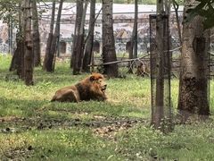 -秦皇岛野生动物园