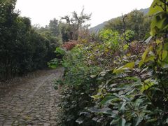 -缥缈峰景区