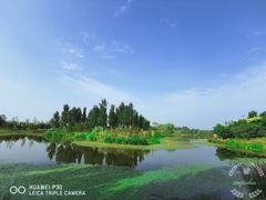 -东郊湿地公园