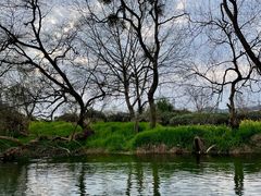-婺源月亮湾