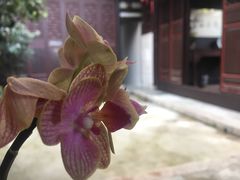 -载阳客栈