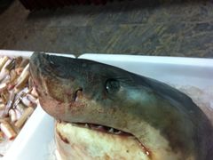 -山东八大碗山东老字号