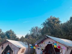 -上海海湾国家森林公园