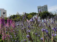 -龙环葡韵住宅式博物馆