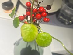 -野蔓果·山野菜(西湖景区·龙井茶田店)