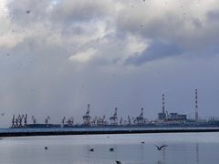 -悦海公园