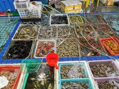 -霞涌市场海鲜摆卖区