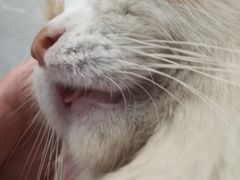 -樱花糕坊(万松园店)