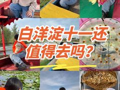 -白洋淀景区