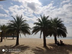 -厦门喜来登酒店