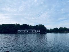 -上海共青森林公园