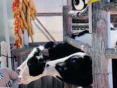 -昆明动物园