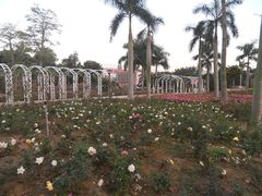 -东南花都花博园