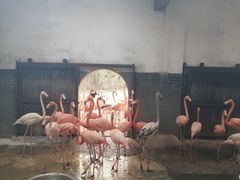 -南昌动物园