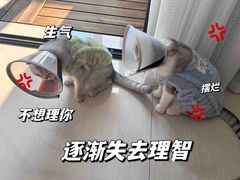 -美迦爱-牙专科·兔科·骨科诊疗中心(北苑店)