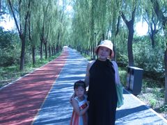 -大兴滨河森林公园