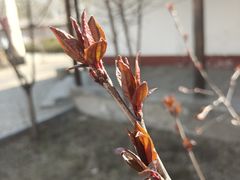 -河北村民俗体验园