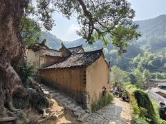 -杨家堂村