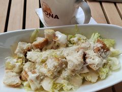 -百好乐宠物友好餐厅(朝外大街店)