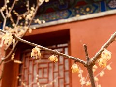 -国家植物园