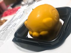 Hi芒果小福猪-海底捞火锅(苏宁生活广场店)