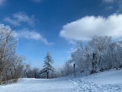 -亚布力新体委滑雪场