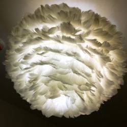 羽毛灯-Yukina Plus专业日式美肌