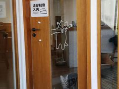 -有猫主题·治愈系猫咖(曾厝垵店)