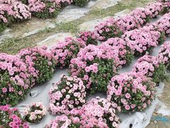 -中国天府农业博览园