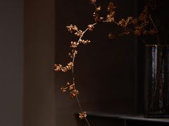 -溯洄咖啡VORTEX COFFEE