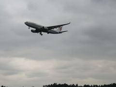 -空港花田景区