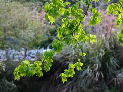 -景德镇中国陶瓷博物馆