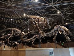 -世界恐龙谷景区