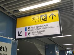 -大龙山(地铁站)