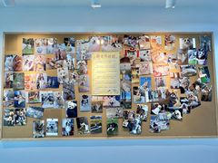 -翊宠yipet猫狗购宠庄园犬舍•猫舍