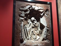 -迪庆藏族自治州博物馆