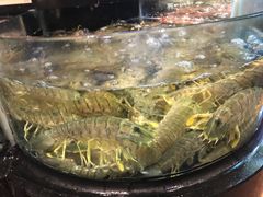 海鲜池-陶陶居海鲜酒家(新马路店)